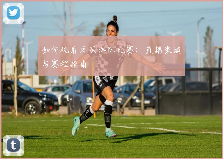 如何观看牙买加队比赛:直播渠道与赛程指南