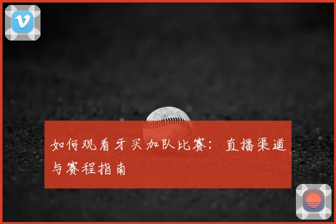 如何观看牙买加队比赛：直播渠道与赛程指南